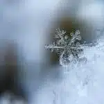 Snowflake macro, focused photo of a snow flake