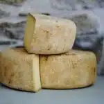 Cut wheels of cheese, baked bread
