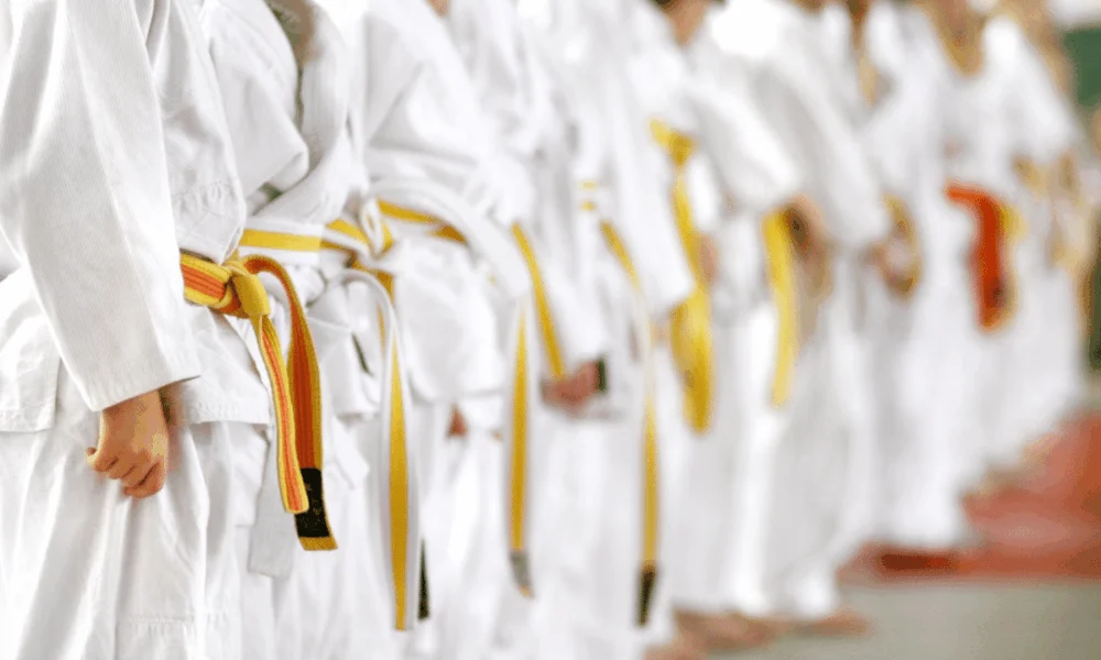 210+ Karate Team Names