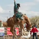 A cowboy rides a horse at the Miles City Bucking Horse Sale., man riding brown horse during daytime