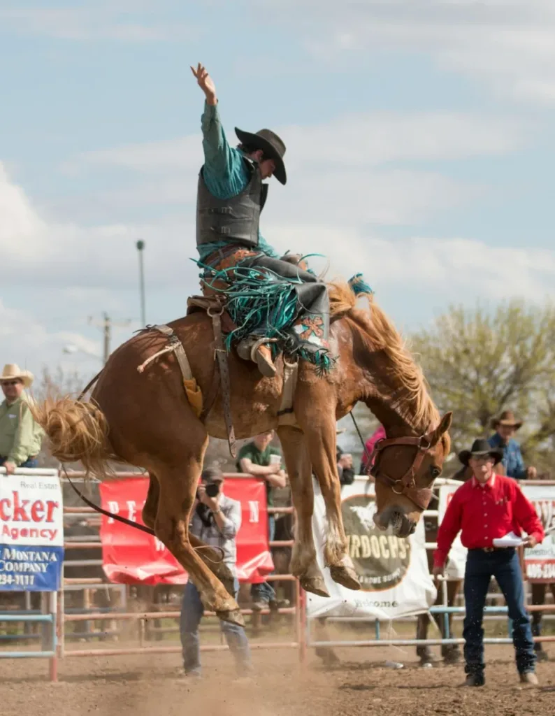 220+ Rodeo Team Names