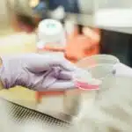 Scientist with a Petri dish, person holding round clear container